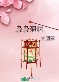 嫋嫋菊味