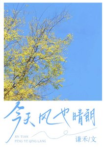今天,風也晴朗