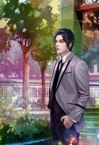 盛世暖婚：帝少大人太腹黑