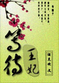 等待王妃