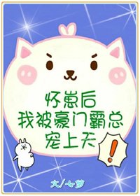 怀崽后我被豪门霸总宠上天［穿书］