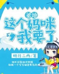 清穿四爷的老福晋