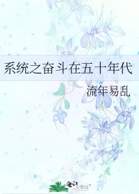 系统之奋斗在五十年代